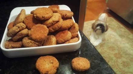 FABULOUS homemade DOG BISCUITS-homemade-dog-treats